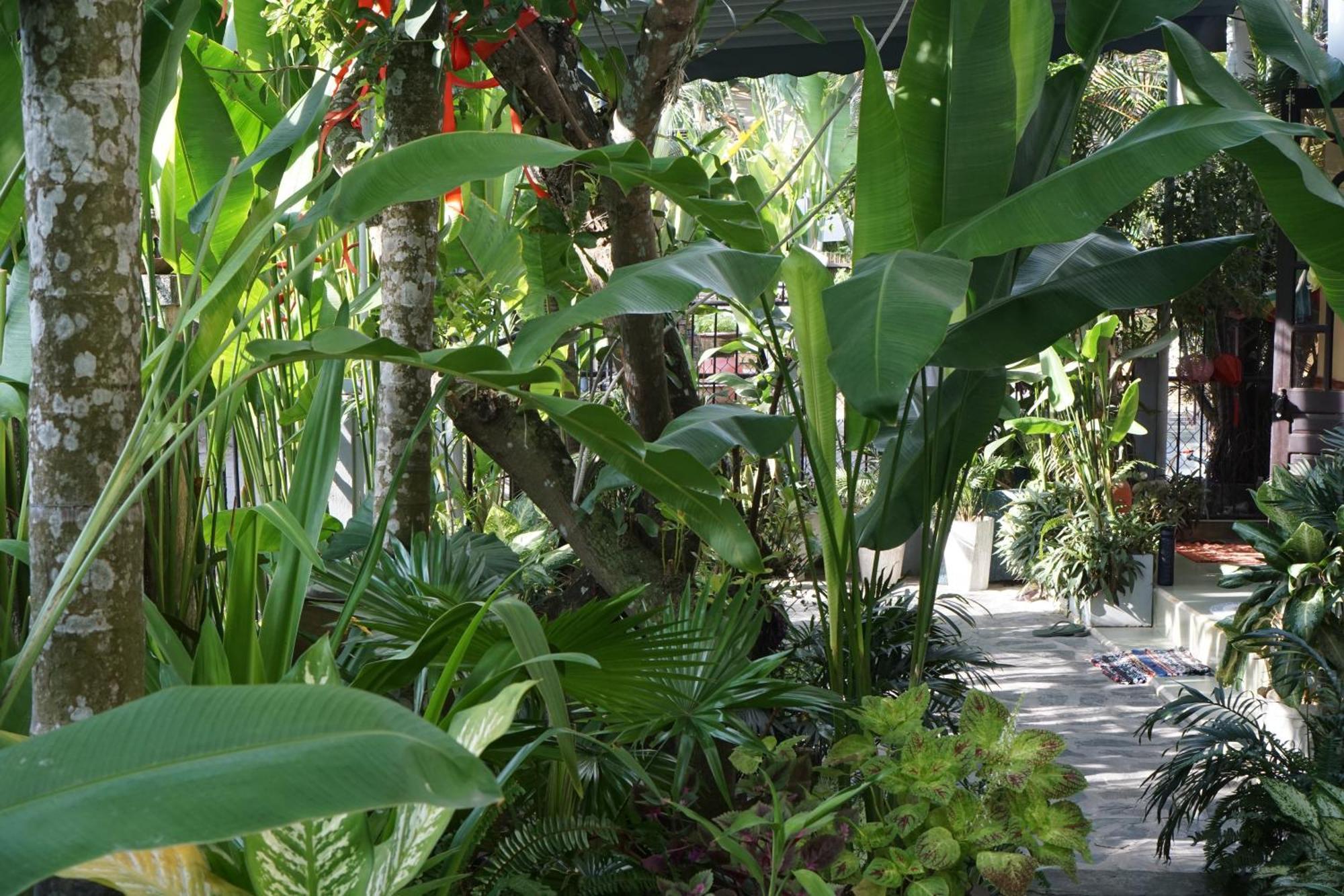 Hoi An Sunny Garden Appartement Buitenkant foto