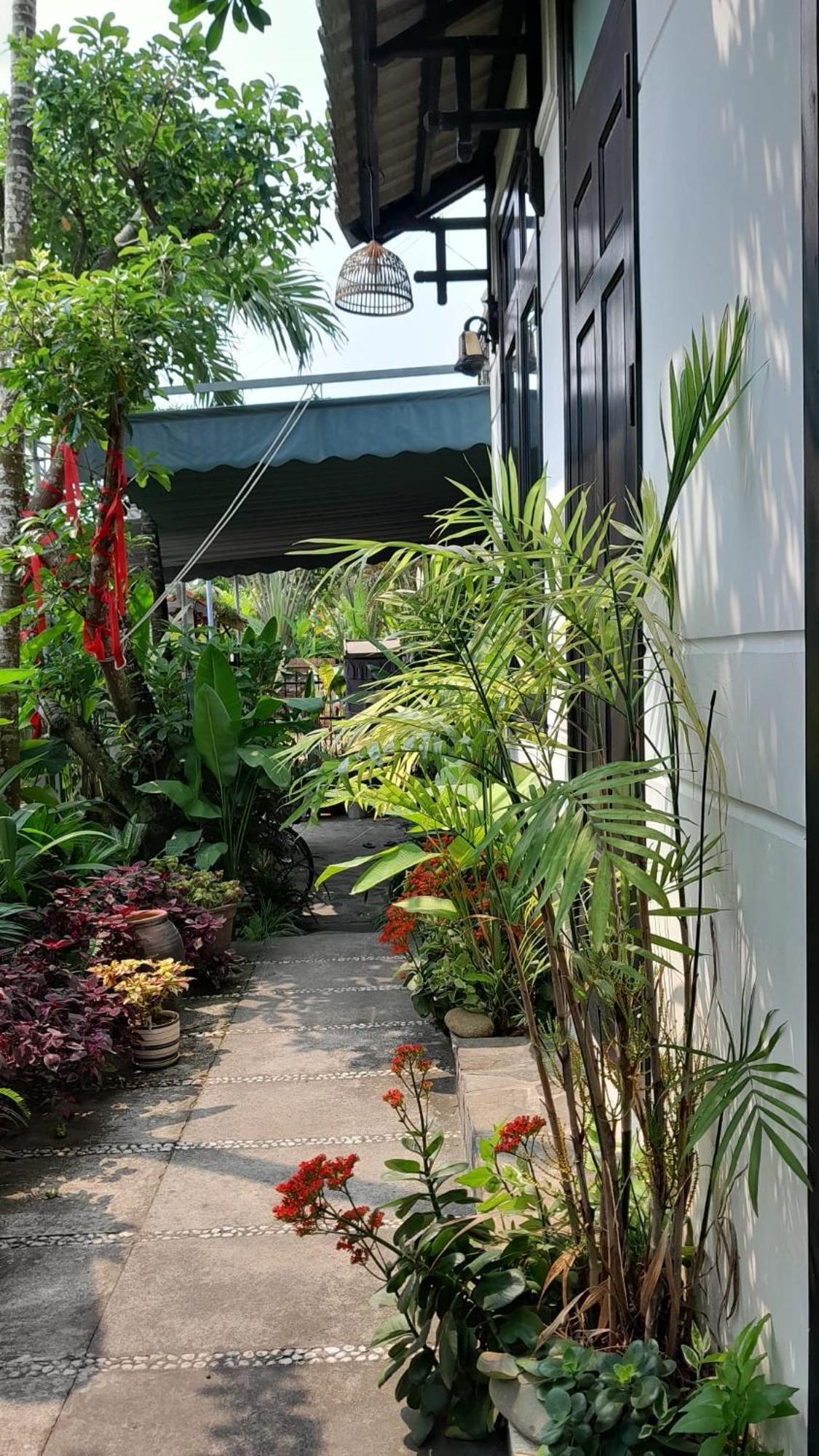 Hoi An Sunny Garden Appartement Buitenkant foto